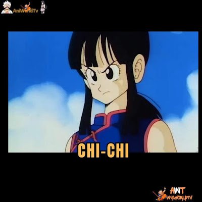 10 Most Powerfull Character In Dragon ball Chi-chi, dragon ball