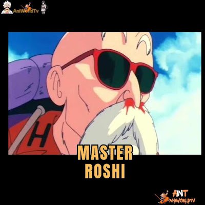 10 Most Powerfull Character In Dragon ball Master Roshi, dragon ball