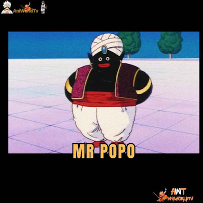 Mr. Popo