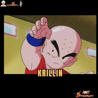10 Most Powerfull Character In Dragon ball Krillin, dragon ball