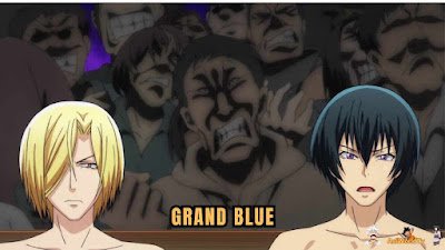 Best Anime One Season Anime Grand Blue, Best One Season Anime