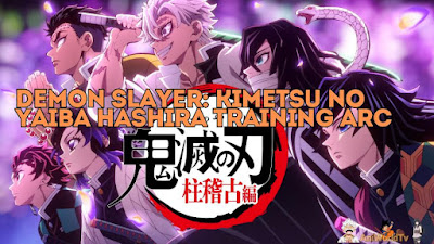 Demon Slayer: Kimetsu no Yaiba Hashira Training Arc