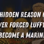 one piece theory